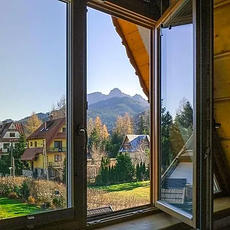 Knauberowka, Odkryj-zakopane